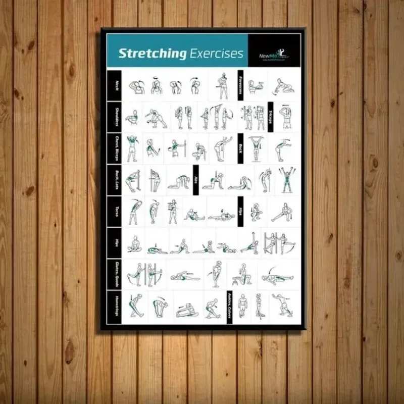 Grafico di allenamento per ese - Badminton Poster recensione e prezzo