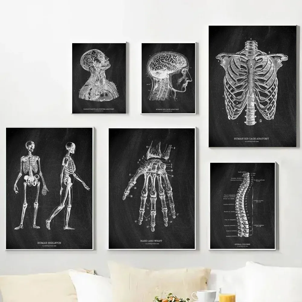 Anatomia Scheletro Lavagna Pos - Badminton Poster recensione e prezzo