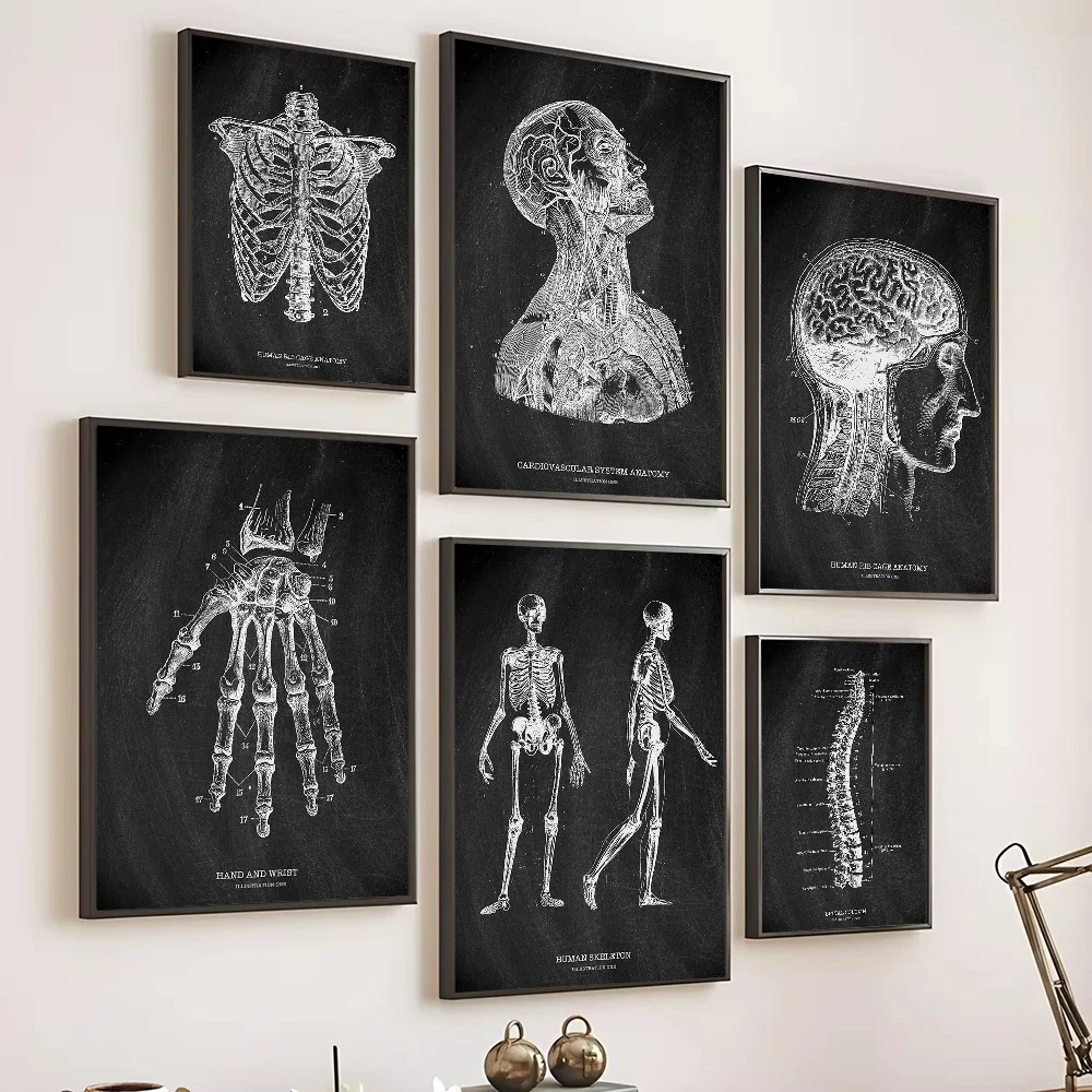Anatomia Scheletro Lavagna Pos - Badminton Poster recensione e prezzo