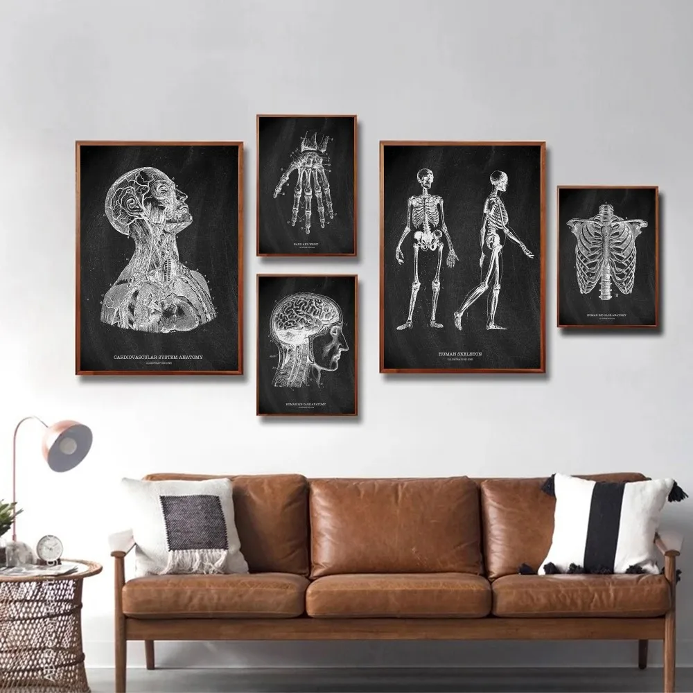 Anatomia Scheletro Lavagna Pos - Badminton Poster recensione e prezzo