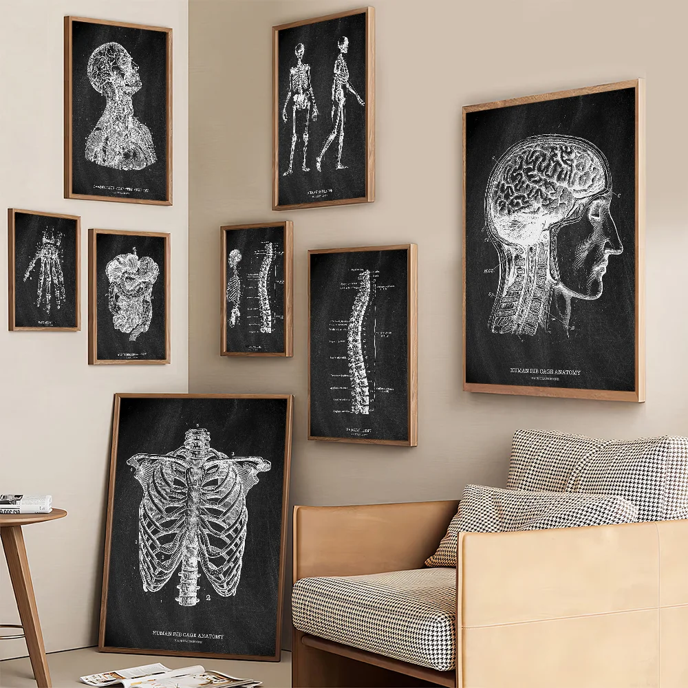 Anatomia Scheletro Lavagna Pos - Badminton Poster recensione e prezzo